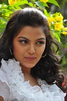 Priya Stills